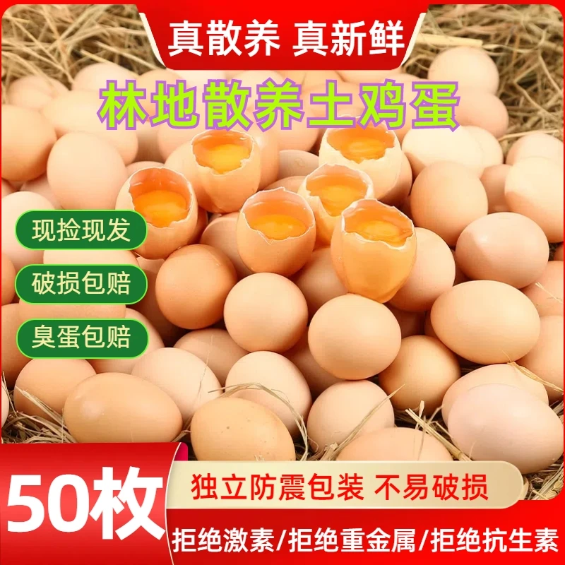 【50枚顺丰包邮】正宗山林散养土鸡蛋新鲜 45±5克/枚 净重4.2-4.5斤