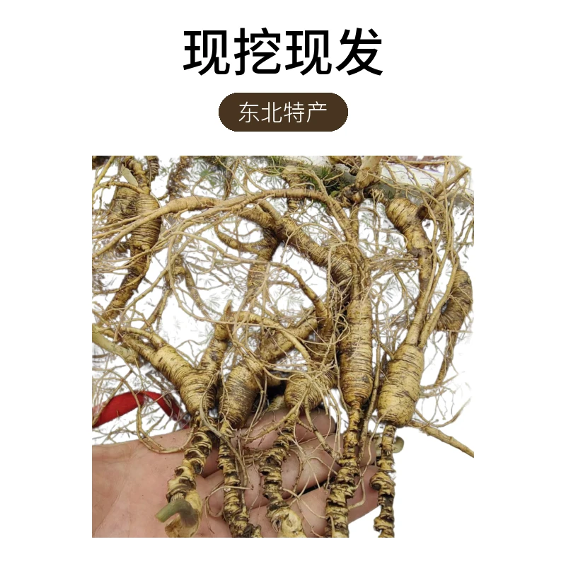 （改价链接）东北特产长白山人参林下参 现挖现发