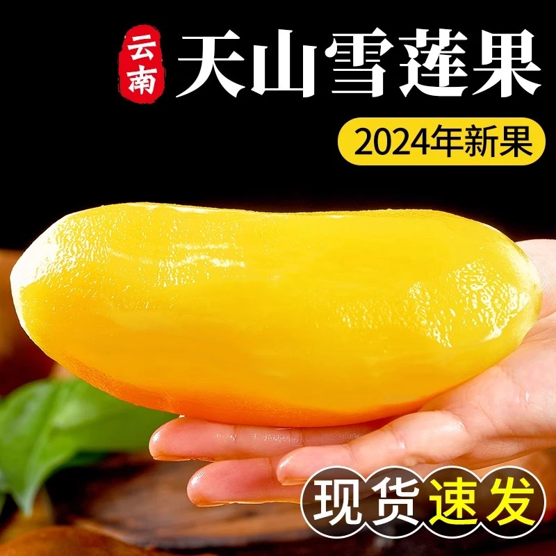 天山雪莲果新鲜水果应季节当季云南脆甜雪莲果黄心大果整箱