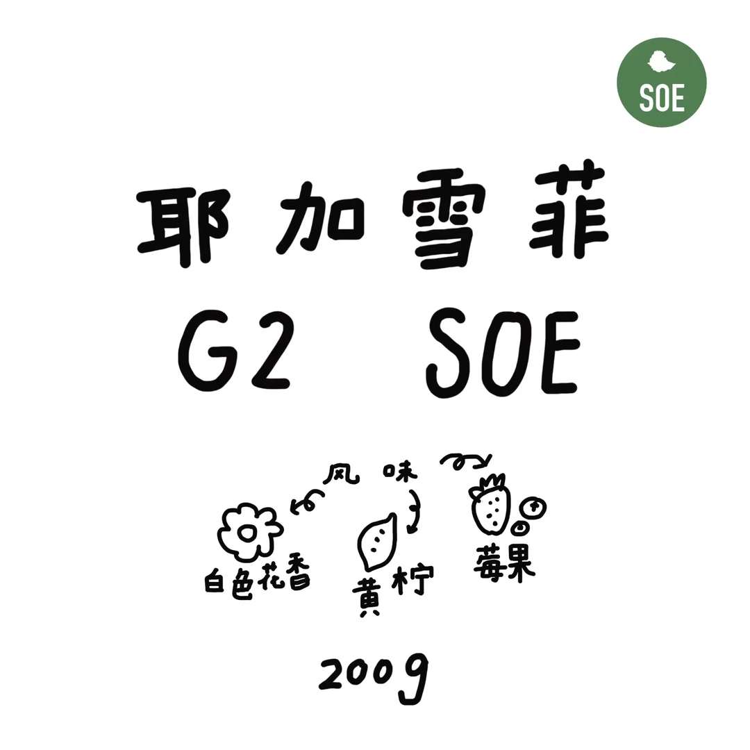 埃塞俄比亚 水洗 耶加雪菲G2 SOE 中烘意式豆 200g 可磨粉