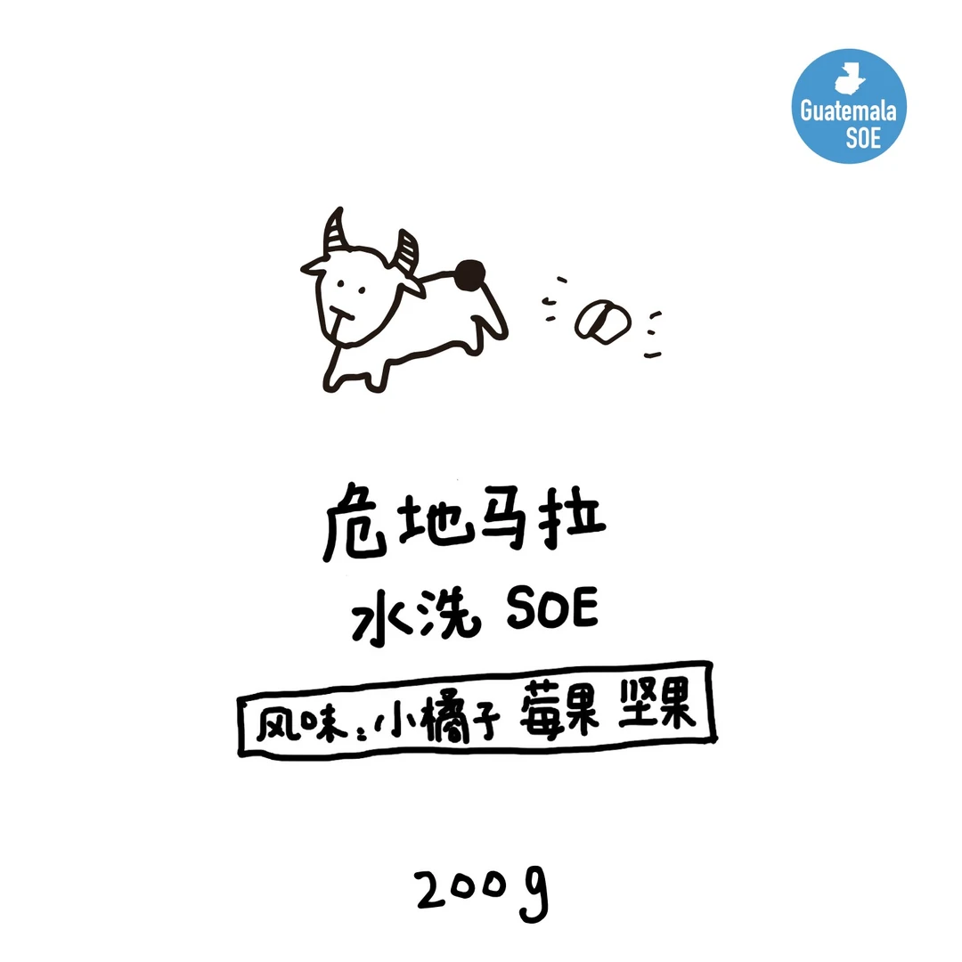 【河汉拼配】危地马拉 水洗SOE 中深烘意式豆 可磨粉 200g