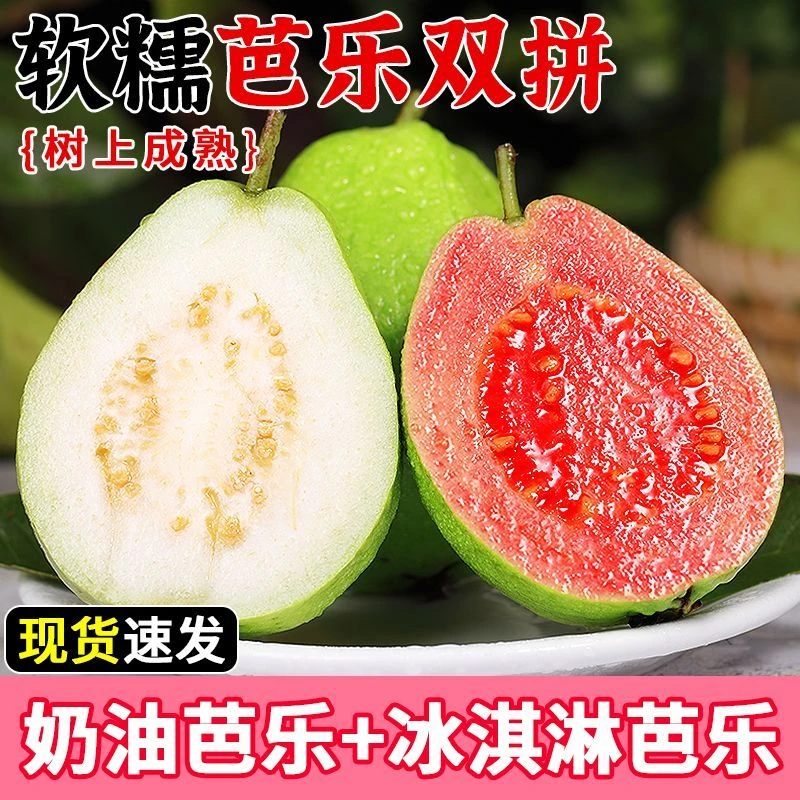 【放软吃】热带红心芭乐新鲜水果白心红心番石榴农产品老树农家种植