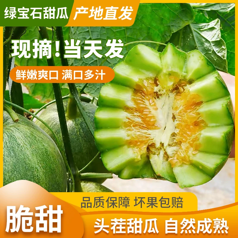 山东头茬新鲜绿宝石甜瓜香甜清香水果美味脆甜甜蜜口感爽脆
