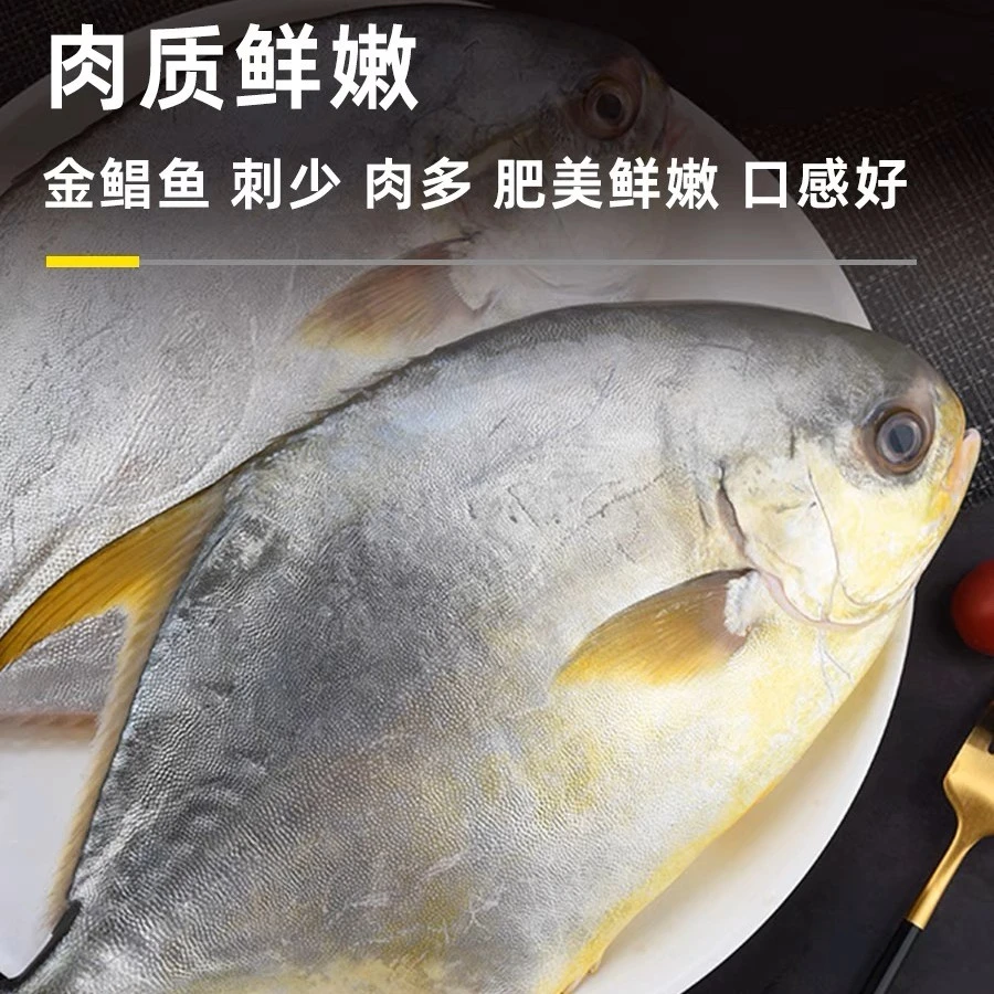 金鲳鱼阳江深海南海鲳鱼海鲜海鱼约2~3条/斤