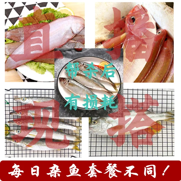 【直播现搭】海杂鱼阳江南海混装大套餐（默认帮杀）