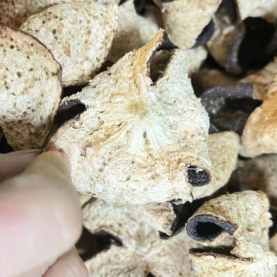 2017年茶坑圈枝大红皮