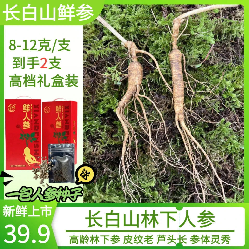 【礼盒款】长白山林下参 新鲜林下参8-12g/支坏参包赔
