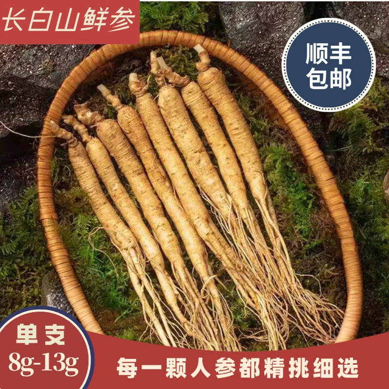 长白山鲜人参8-13g/支 送人参种子 参味浓郁