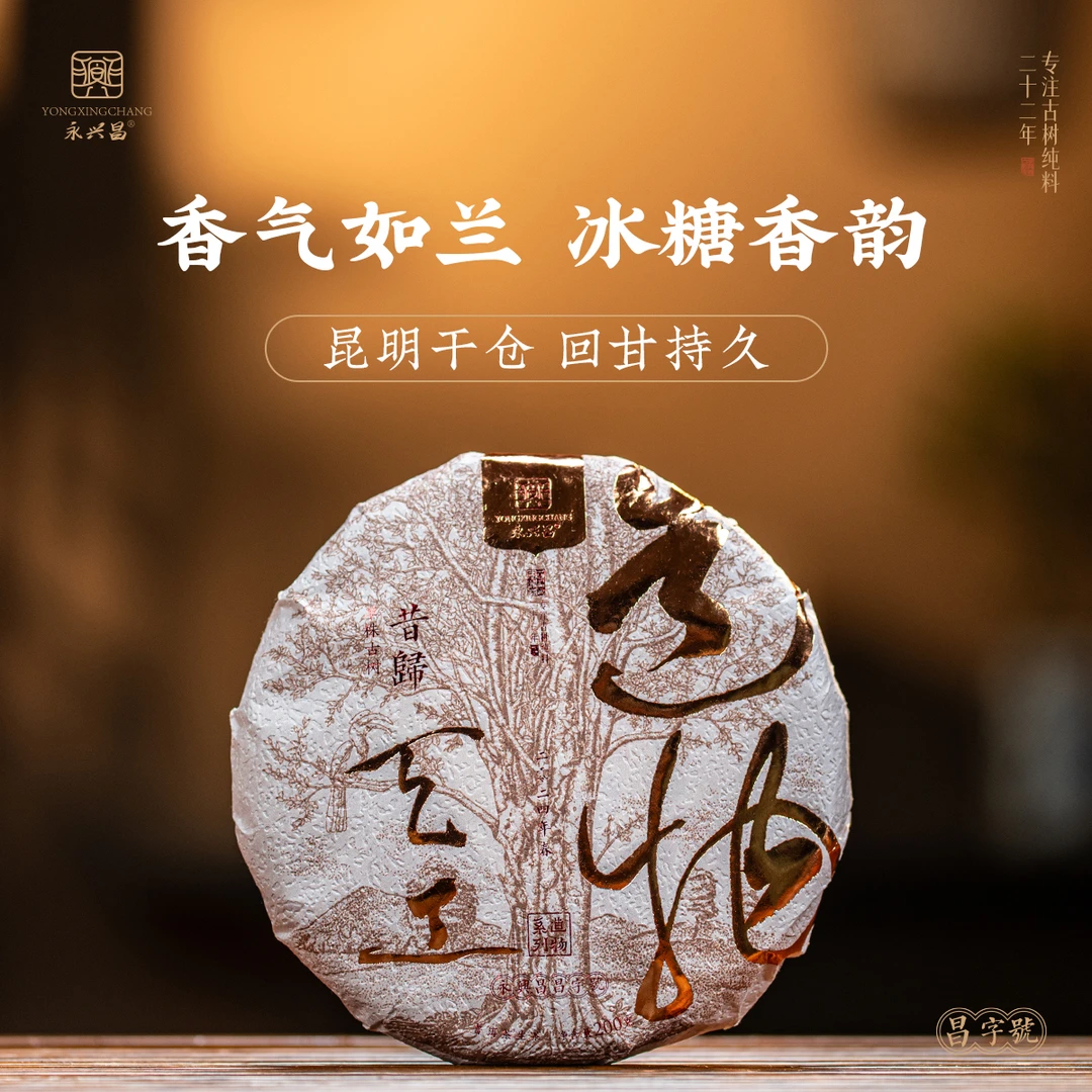 2024天工造物系列昔归200g春茶发烧友普洱生茶珍藏级头春头采