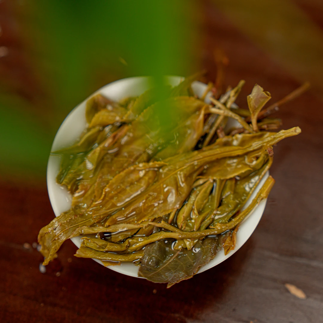 元宵节大乐透月芽塘200克云南普洱森林古树纯料头春国有林春茶