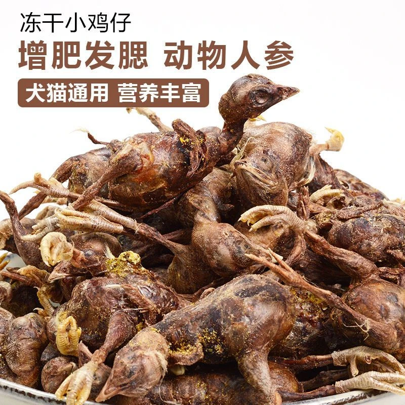 狗狗零食冻干小鸡仔猫咪零食小型犬宠物鸡肉营养增肥发腮补钙磨牙