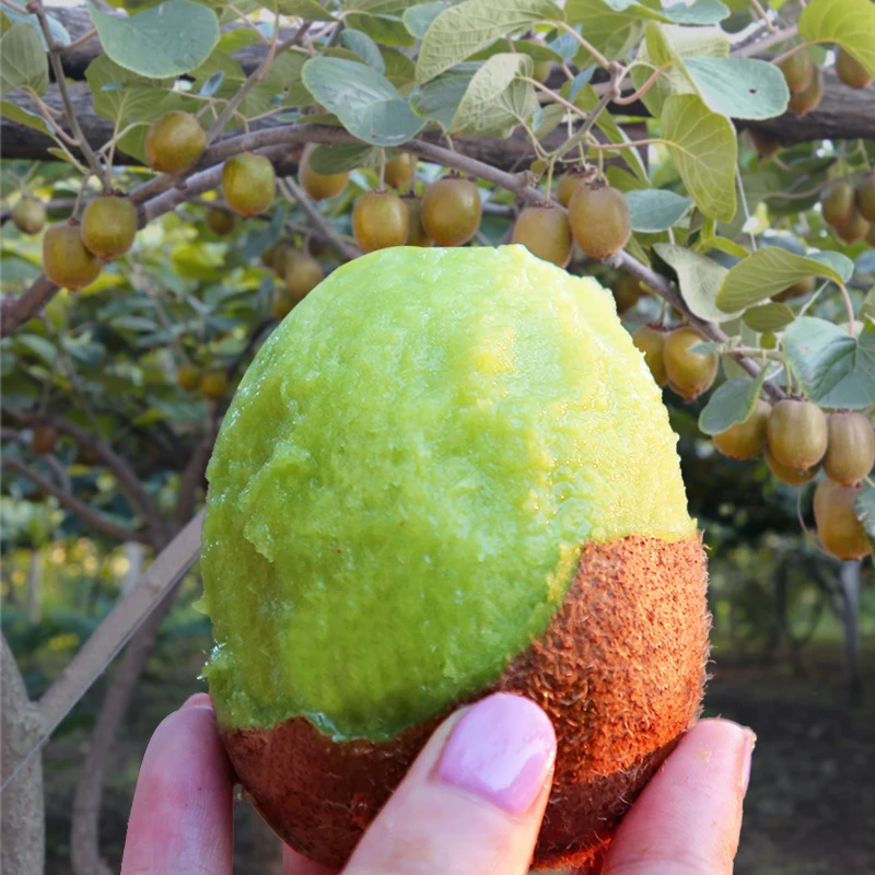 【拍12颗送12颗】D正宗眉县徐香猕猴桃24颗65-95g中大果陕西直发