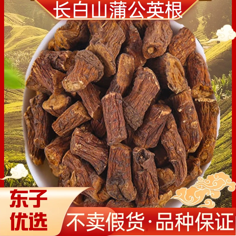 【东子专属】长白山蒲公英根500g