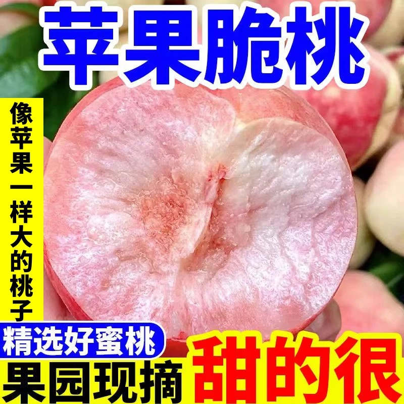 苹果桃/湖北广水新鲜脆蜜桃脆桃香甜爆汁现摘毛桃大果孕妇胭脂红