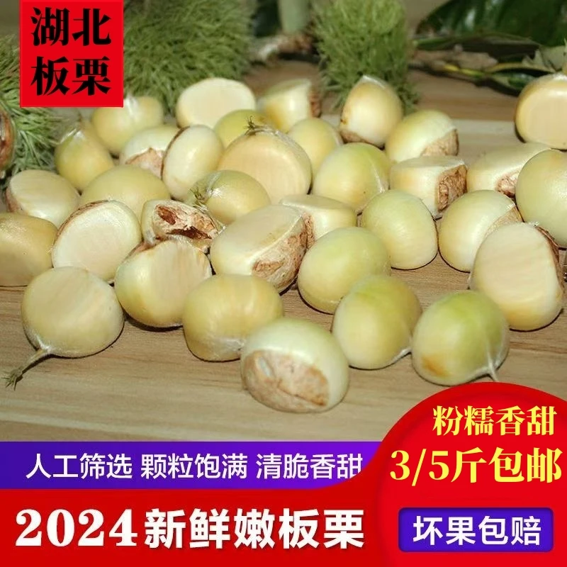 2024年新鲜嫩板栗粉糯香甜白皮板栗深山优质饱满现摘现发大个栗子