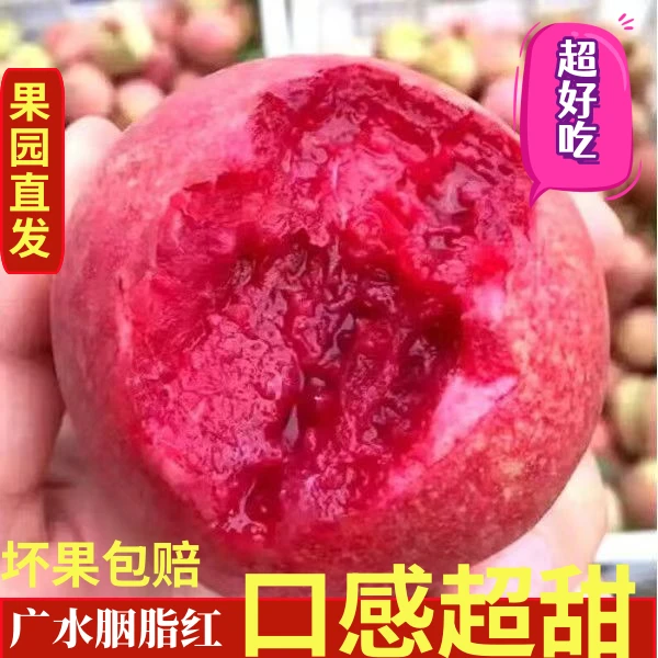 广水特有胭脂红血桃头茬桃子水蜜桃黄桃油桃脆甜爆汁现摘应季水果