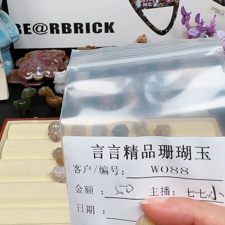硅化玉颈饰未镶嵌珊****雪