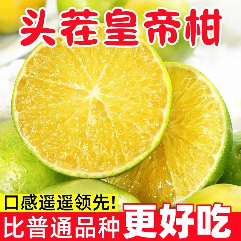 正宗广西皇帝柑贡柑橘子清甜多汁大果新鲜现采现发包邮5/9斤