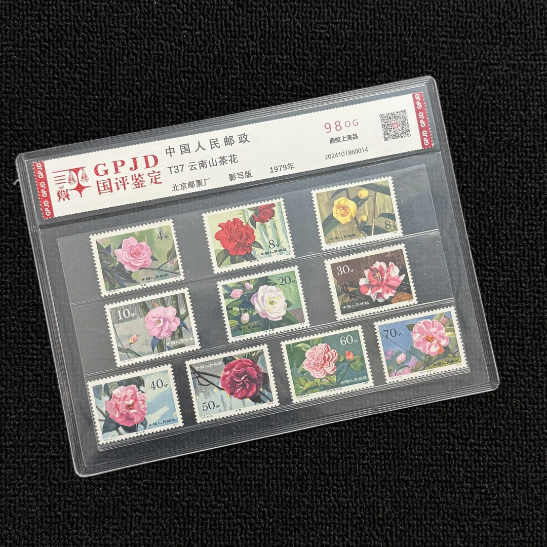 T37山茶花 邮票   98 OG片装正品保真
