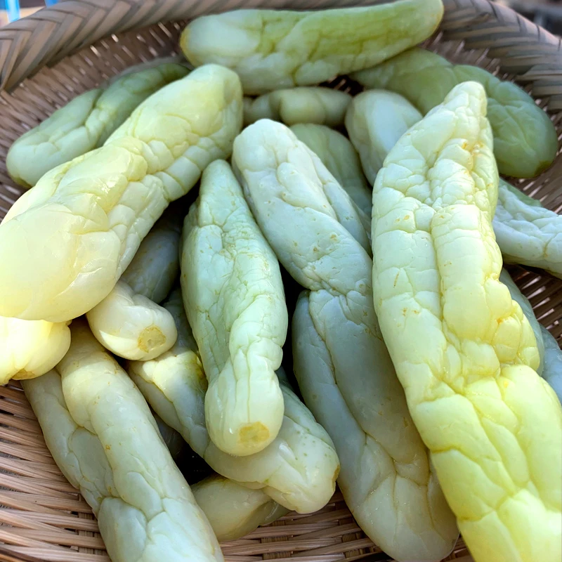 广西特产钦州灵山瓜皮农村自家腌酸黄瓜咸菜新鲜腌制泡菜1斤1袋