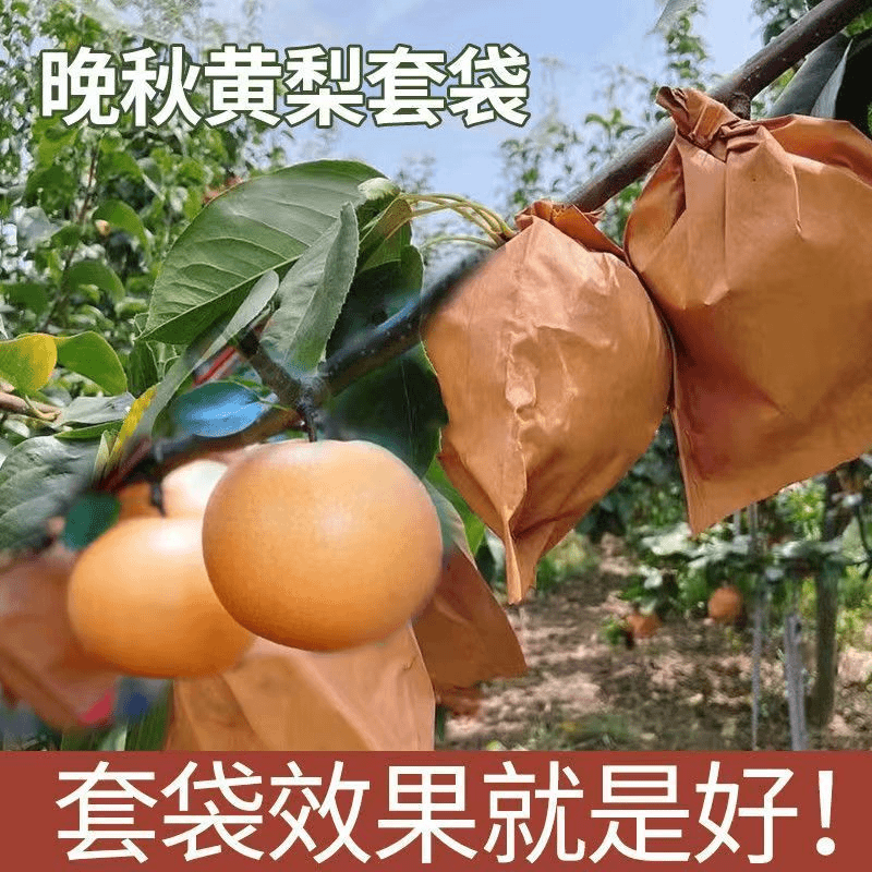 梨子套袋双层专用袋桃子果树防虫苹果黄金梨晚秋黄梨秋月梨套袋