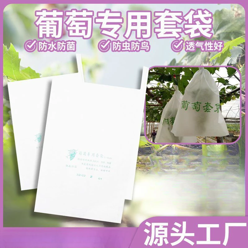 葡萄套袋专用袋露天水果防雨袋子防虫防水套葡萄专用包邮