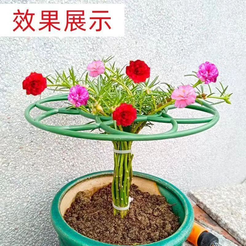 太阳花棒棒糖支架单层多层支撑架植物造型爬藤固定架蟹爪兰支撑杆