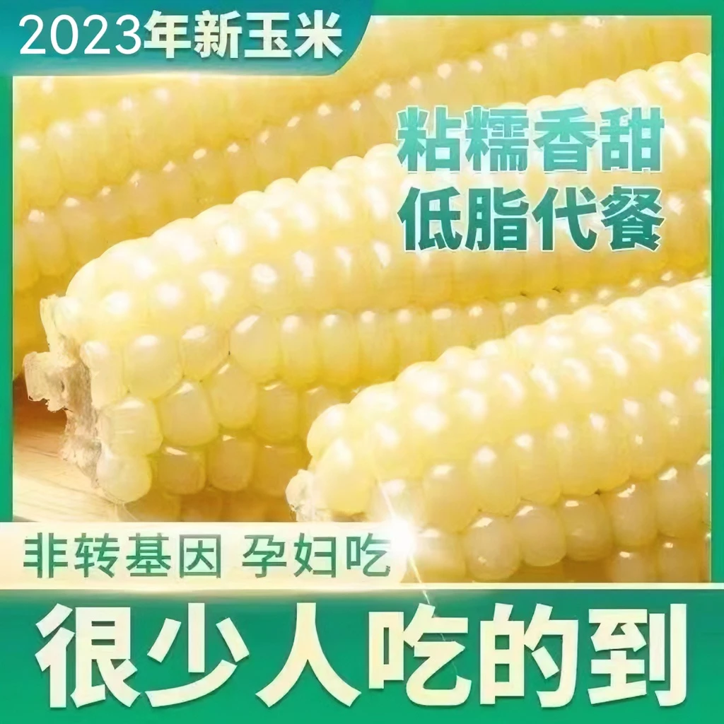 西双版纳白糯玉米香甜软糯真空包装轻食代餐利器健康美味即食