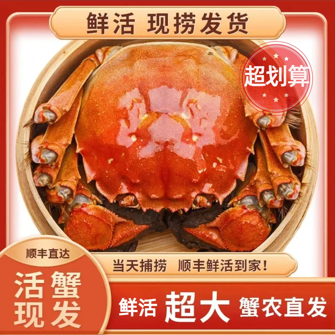 【江苏大闸蟹】4.5两公蟹-3.5两母蟹8只+2只到手10只 京东/顺丰包邮