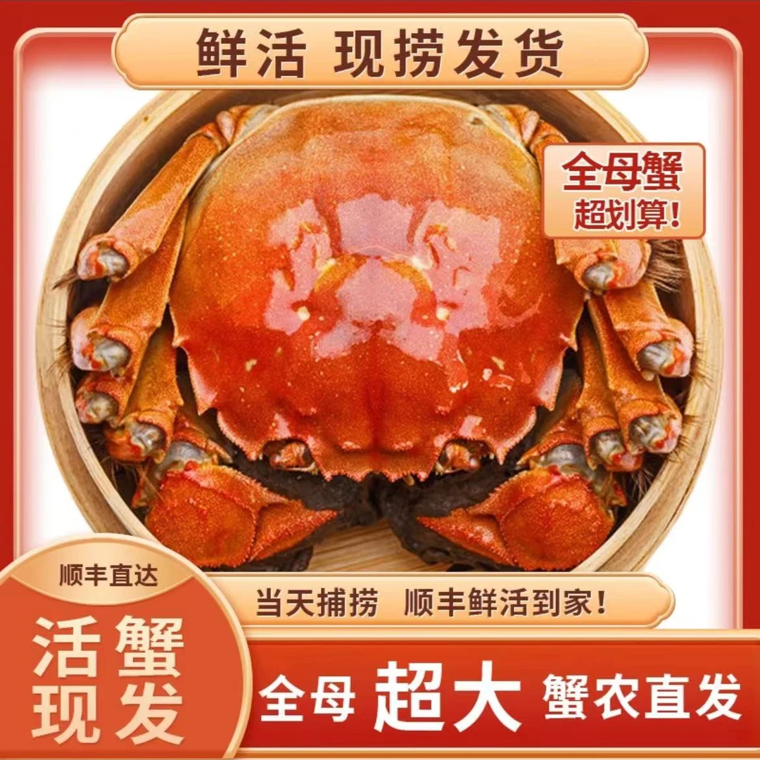 【A江苏大闸蟹】大闸蟹 母蟹3.5两 8只送2只 EMS冷链/顺丰包邮