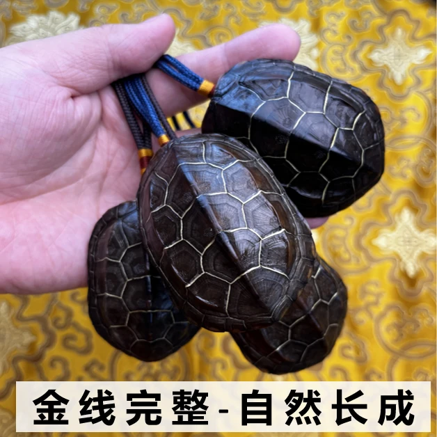 真龟壳手把件文玩盘玩龟甲把玩乌龟壳