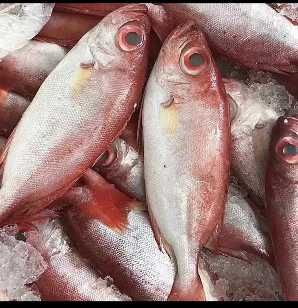 潮汕神泉港 红目鲢 杀好一包8两 发5包