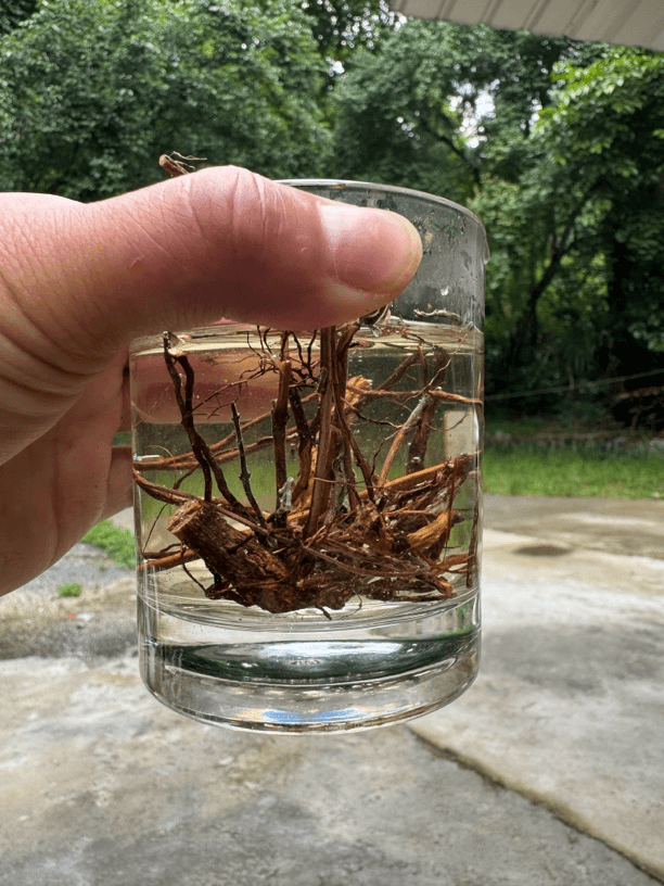 优乡土特产山货（清）