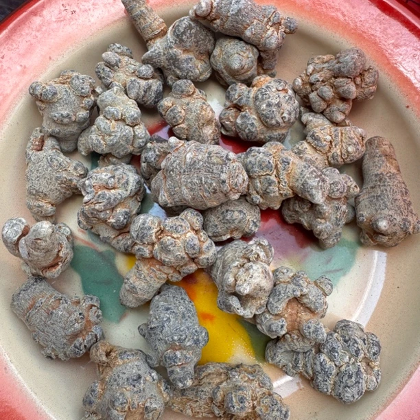 优乡土特产山货（土）叁