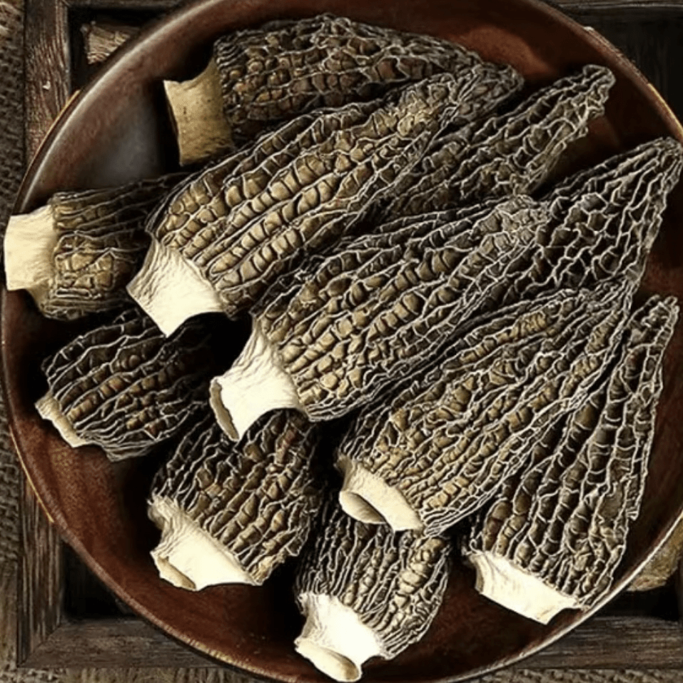 优乡土特产山货（羊肚菌）