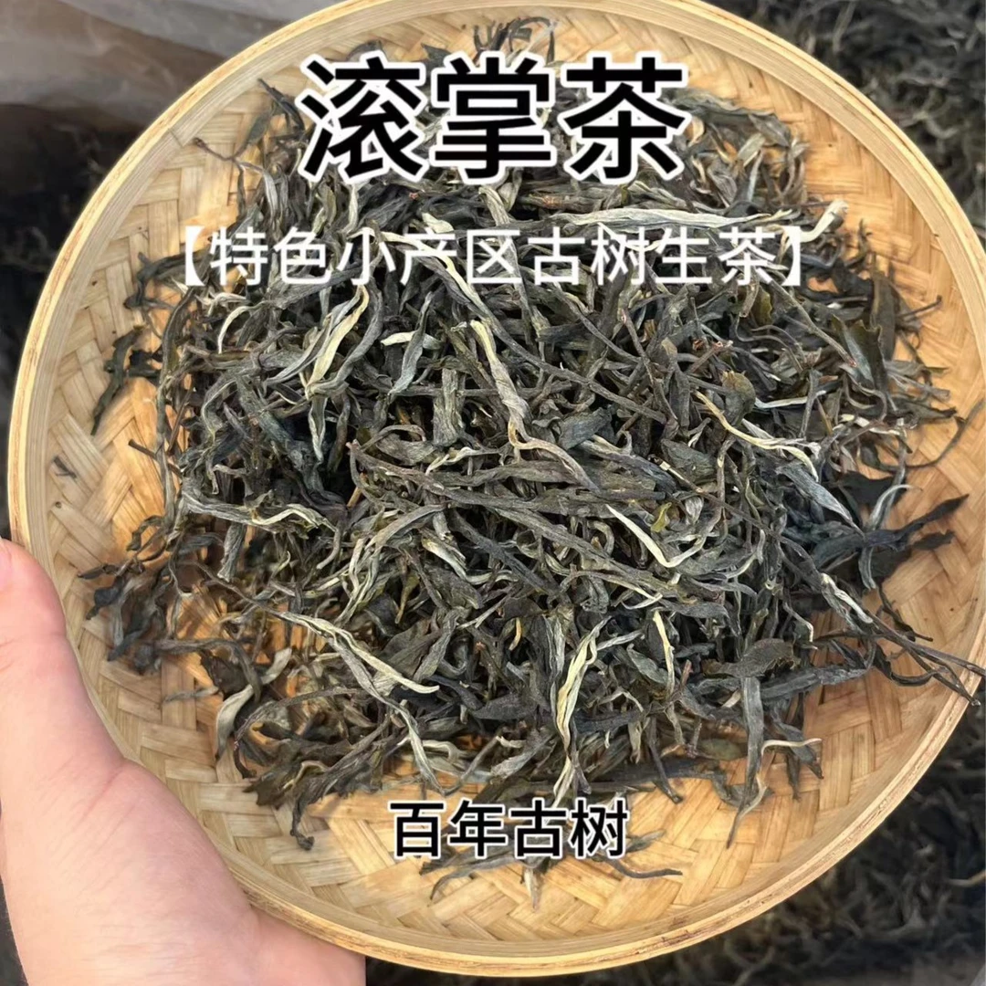 2023年古树滚掌生茶
