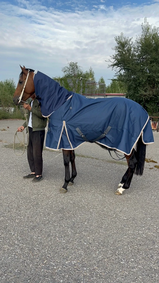 300克棉防水冬季马衣脖子一体