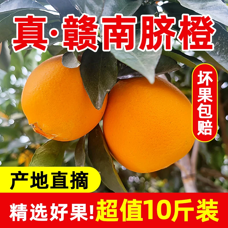 仙橙园正宗江西赣南脐橙 水果赣州脐橙当季新鲜橙子含箱10斤现摘