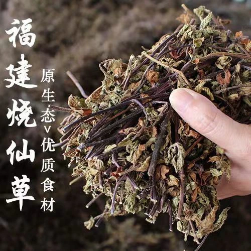 【做不好不收钱】纯仙草叶子100g/袋 赠教程+工具