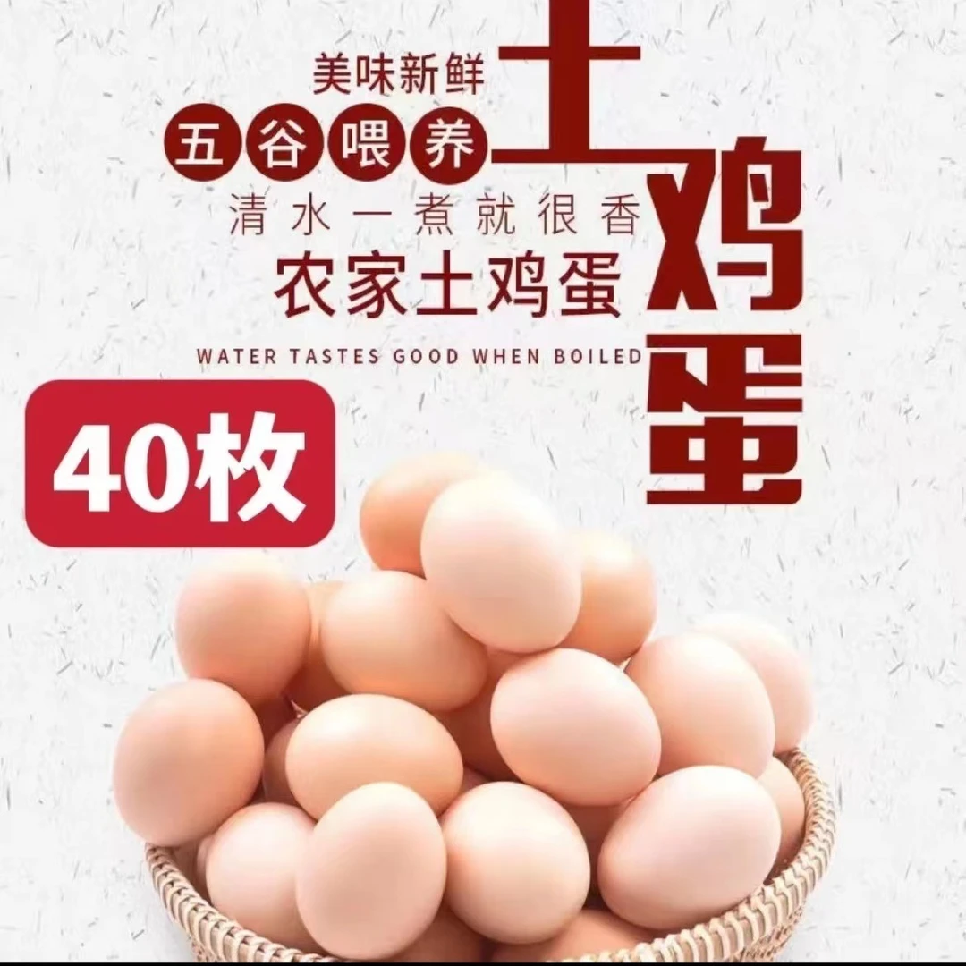 山东散养新鲜土鸡蛋40枚/1600g 破损包赔