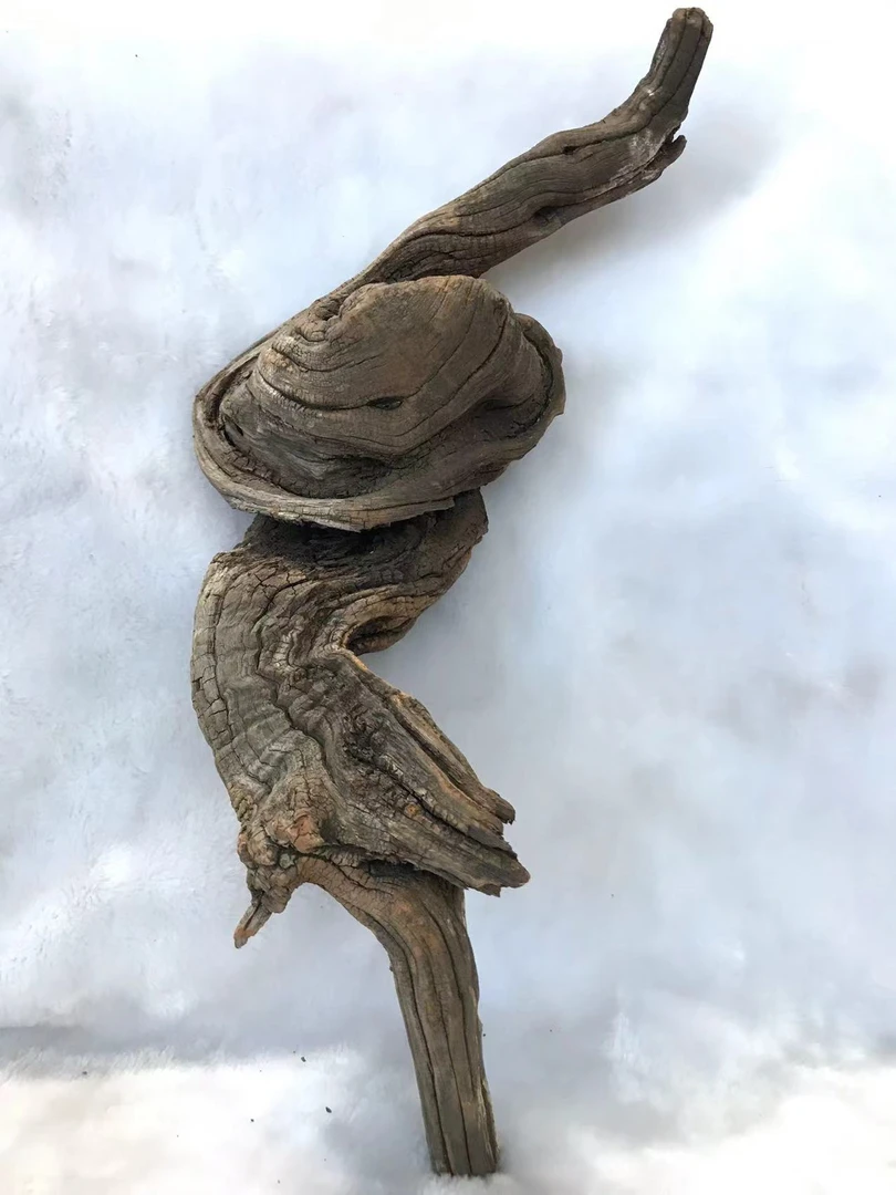 火琉璃原叉 崖柏 麻梨疙瘩 拐棍 登山杖 把玩棍 弹弓 雕刻 陈化料