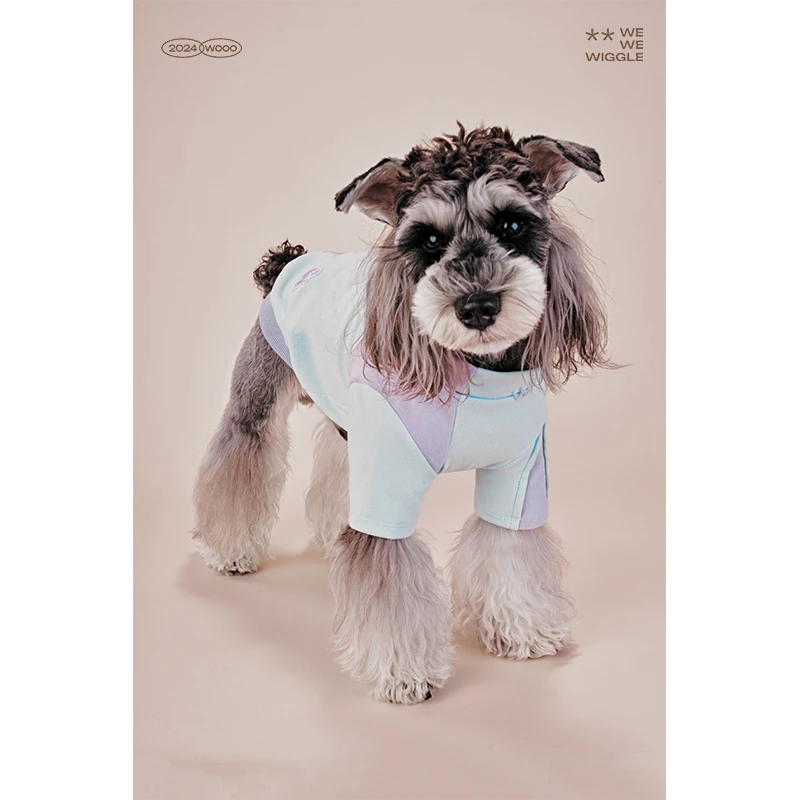 摆摆Wooo宠物跳色卫衣马尔济斯泰迪比熊中小犬猫德绒卫衣外套春秋