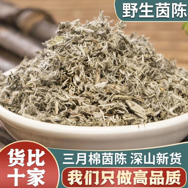 茵陈 精选茵陈切段选装切断茵陈蒿