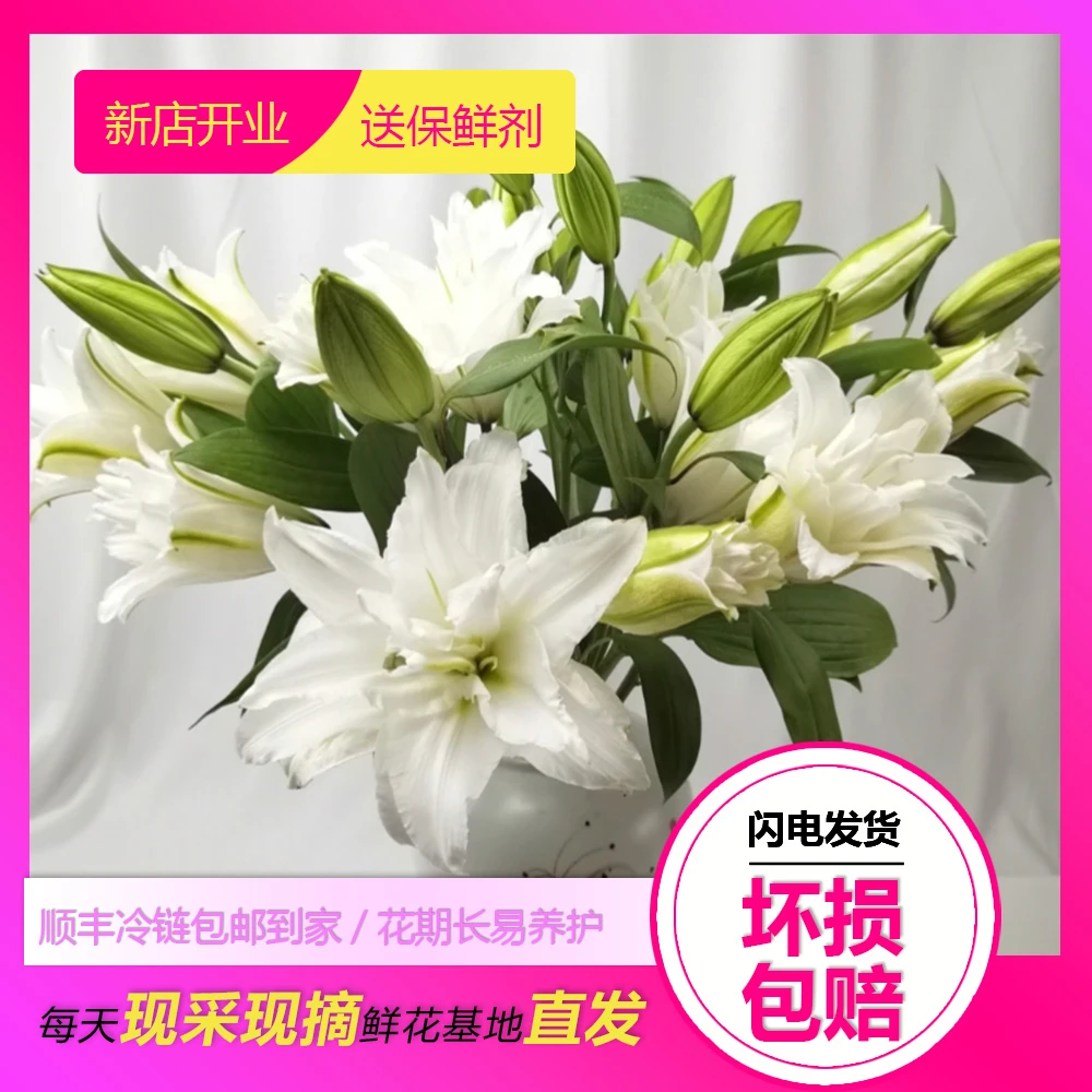 【爱莎】重瓣香水百合鲜花水养鲜切花办公室室内插花桌面装饰