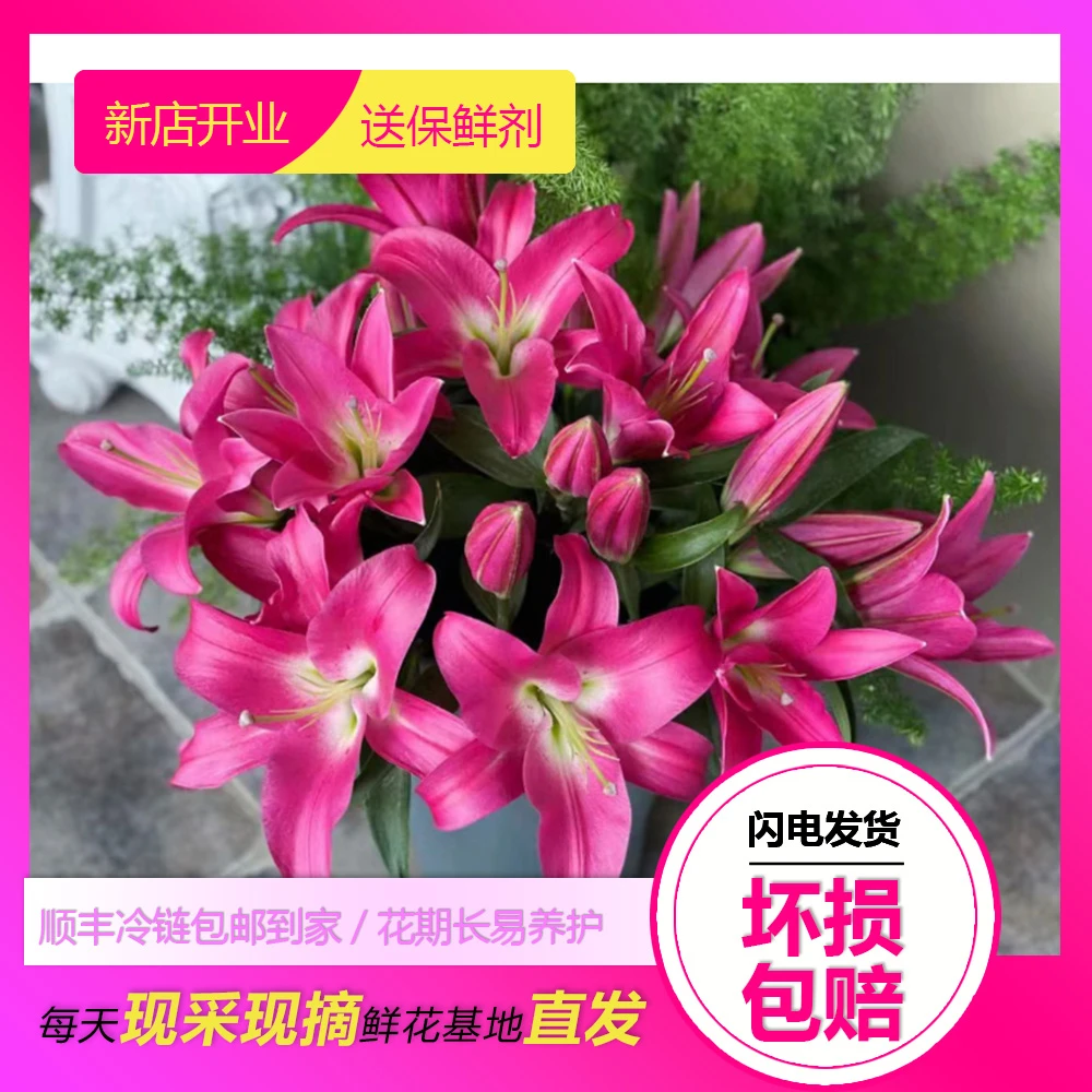 红色2头香水百合系列鲜花水养鲜切花办公室室内插花桌面装饰优质
