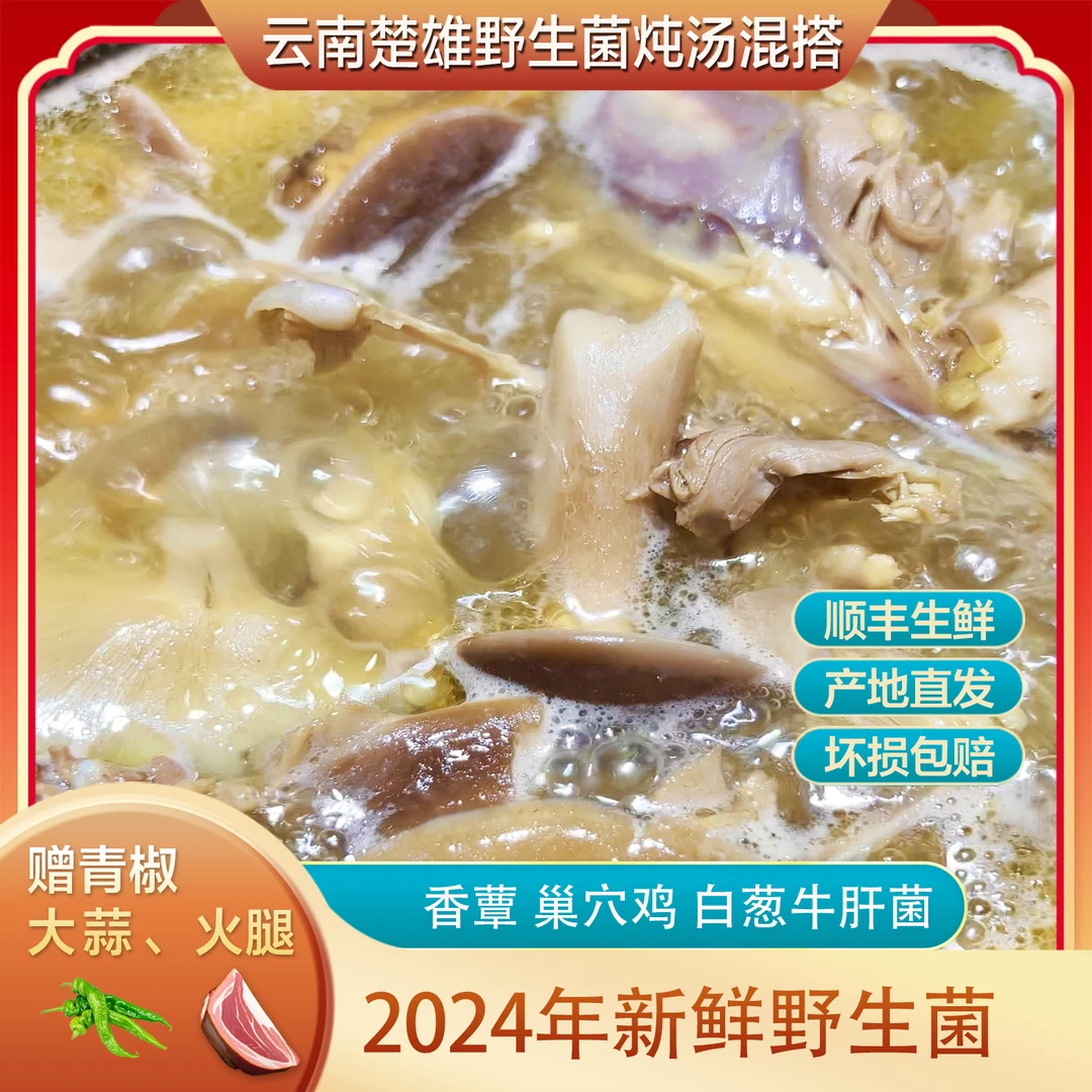 当季现采野生菌   炖汤混搭组合 鲜香浓郁 500g以上