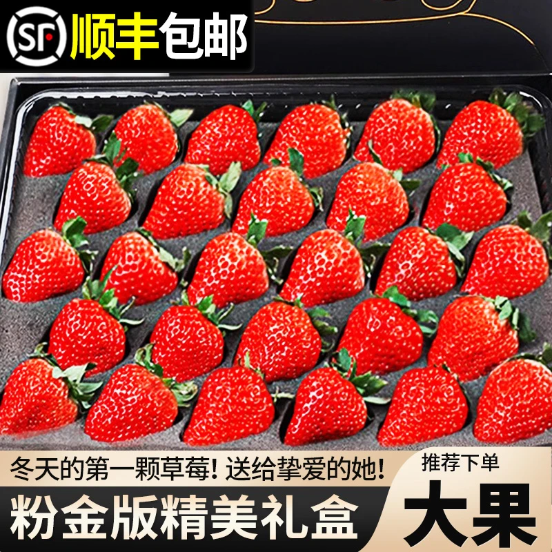 【粉丝福利】正宗长丰红颜99奶油草莓九九牛奶草莓新鲜水果顺丰包邮