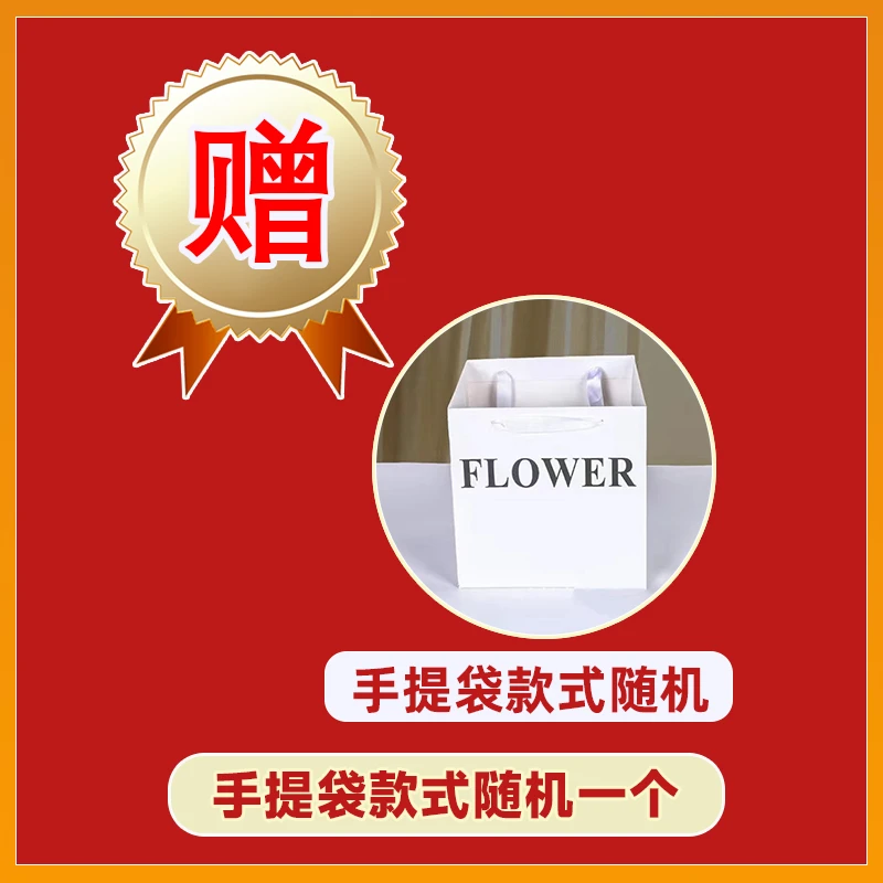 【赠】随机礼品袋