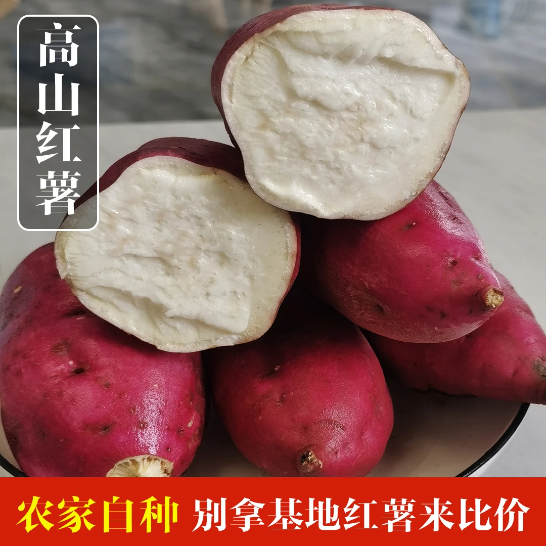 江西板栗红薯农家自种新鲜高山番薯老品种粉糯甜红皮地瓜5斤包邮
