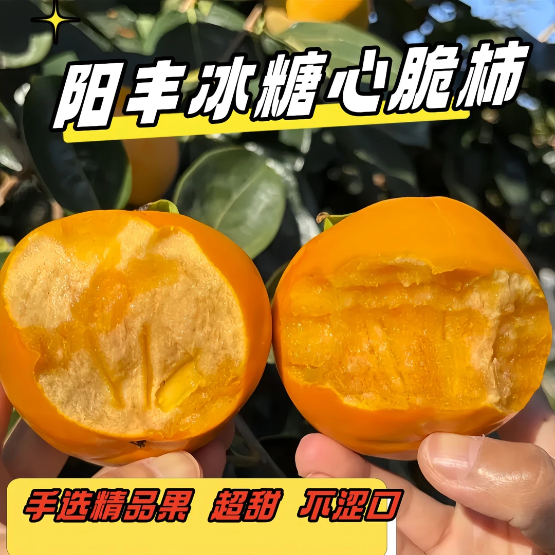 山西正宗阳丰巧克力脆柿产地直发新鲜采摘脆甜不涩收到即食